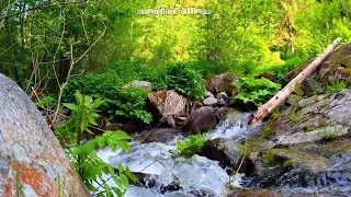 calming river flow for relaxation | Beautiful Village