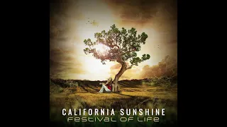 California Sunshine - Back To Goa 1992