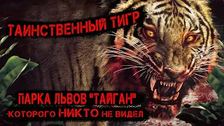 Таинственный ТИГР парка львов Тайган, которого НИКТО не видел! / дело Зубкова и Гнединой