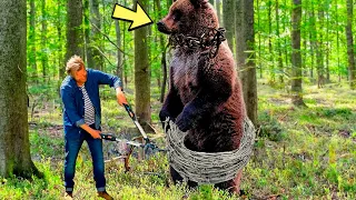 Медведь умолял его снять капкан, но охотник сделал нечто шокирующее.
