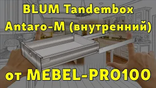 BLUM TandemBox ANTARO – M (внутренний) от MEBEL-PRO100… 😉