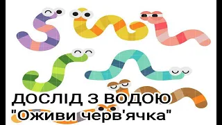 Дослід з водою для дітей "Оживи черв'яка" / Дослідницька діяльність в садочку