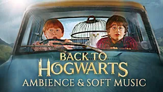 Flying Back to Hogwarts with Harry & Ron ✨ Harry Potter inspired Ambience & Soft Music