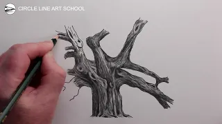 How to Draw an Oak Tree: Pencil Drawing Fast Version