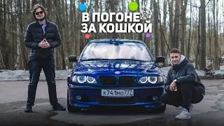 Купили BMW... Не опять, а снова!