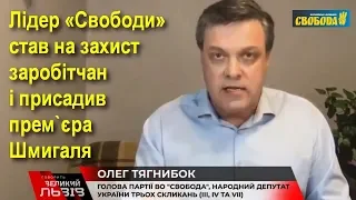 Заробітчани — не рабсила, а стратегічний інвестор української економіки! — Тягнибок // 30.04.2020