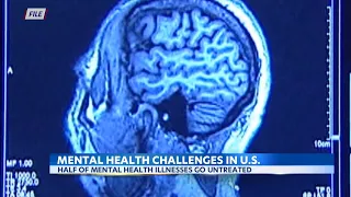 Hawaii health experts explain danger of undiagnosed mental health conditions