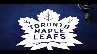 Toronto Maple Leafs 2017-2018 Pump Up "Phoenix"