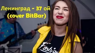 Ленинград - 37 ой (cover BitBar)