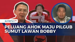 Peluang Ahok di Pilgub Sumut, Pengamat: Jika Maju, Perang Jokowi dan PDIP Lanjut!