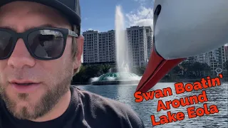 We Rode a Swan Boat Around Lake Eola - Orlando, Florida