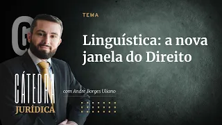 Pesquisador brasileiro revoluciona Direito Constitucional com metodologia americana