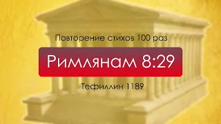 Тефиллин. Римлянам 8:29. Повторение стихов 100 раз.