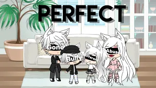 The “Perfect” Family