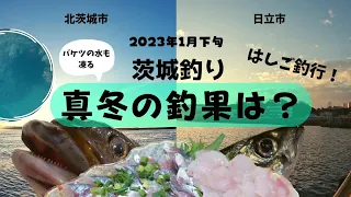 真冬の堤防釣りの釣果 はしご釣行 北茨城 ・日立