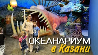 10 удивительных открытий в Казанском океанариуме, которые вас очаруют