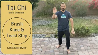 Brush Knee and Twist Step | Tai Chi Basics