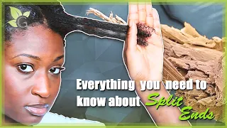 Everything you need to know about SPLIT ENDS