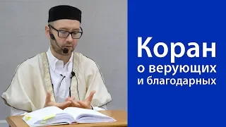 Коран о верующих и благодарных