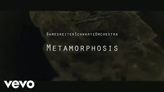 BamesreiterSchwartzOrchestra - Metamorphosis (Teaser)