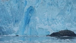 Glacier Calving: Kenai Fjords National Park