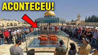 VACA VERMELHA CHEGA EM ISRAEL - Sinal Para Construir o 3° Templo?