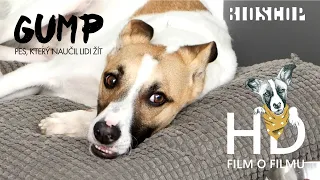Gump - pes, který naučil lidi žít (2020) - video z natáčení