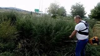 mowing with trimmer tall grass