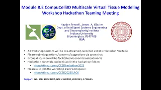 CC3D WS Module 8.E Hackathon Discussion and Lightning Talks [Hayden Fennell] August 10, 2023