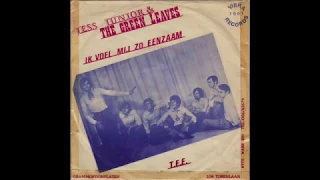 Jess Junior & The Green Leaves - T. E. E. (original 45 belgian low-fi phasing freakbeat funk)