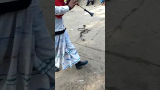 Snake Dance In Our Village #shorts