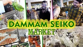 Bird's and Poultry Friday market in Dammam Seiko #shafa_channel #sauditamilvlog #tamil