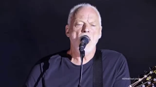 David Gilmour,  Wish You Were Here" Live at Pompeii 2016