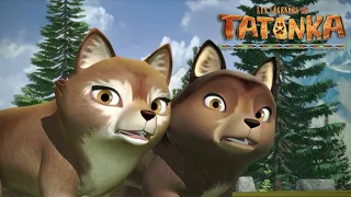 Tatonka la Compil | Un terrible Rugissement | Dessins animés de loups