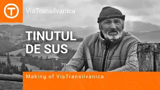 Via Transilvanica / Tinutul de Sus / Section Overview