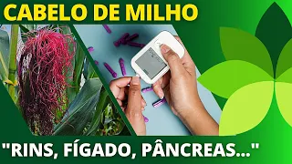 🌿CHÁ DE CABELO DE MILHO vai te surpreender | Ervas e Plantas medicinais