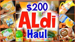 ALDI GROCERY HAUL | SEE WHAT A FAMILY OF 4 EATS | Life as a Twin Mom