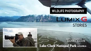Wildlife Photography in 4K | Daniel J. Cox, Alaska | LUMIX G Stories