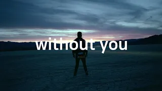 Avicii - Without You (Extended Mix)