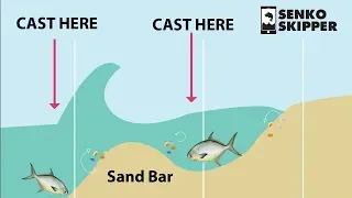 Surf Fishing 101: HOW TO CATCH FISH