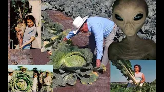 las verduras gigantes de valle de santiago guanajuato  ( relatos sobrenaturales ) capitulo 1