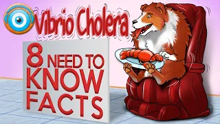 Vibrio Cholera: 8 Need to know Facts(Step 1, COMLEX, NCLEX®, PANCE, AANP)