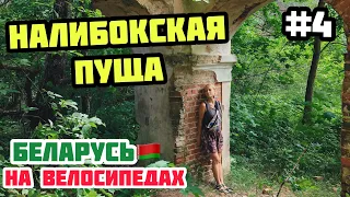 НАЛИБОКСКАЯ ПУЩА // Беларусь на велосипедах
