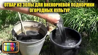 ОТВАР ИЗ ЗОЛЫ ДЛЯ ВНЕКОРНЕВОЙ ПОДКОРМКИ ОГОРОДНЫХ КУЛЬТУР