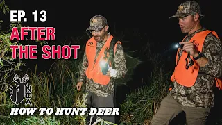 You Just Shot a Deer. What Next? How to Hunt Deer Ep. 13