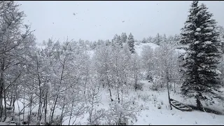 Unexpected Spring Snowstorm in Lake City, Colorado!