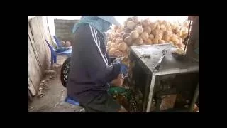 The coconut factory