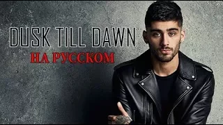 Dusk Till Dawn - Zayn feat. Sia | Cover in RussianНА РУССКОМ | Bunny Roy Project