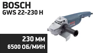 УШМ Bosch GWS 22-230 H