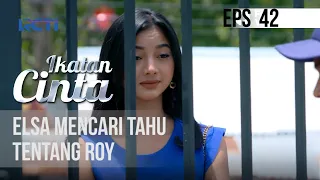 IKATAN CINTA - Elsa Mencari Tahu Tentang Roy